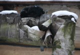 Активисты ОНФ разобрались, где калужские дома теряют тепло